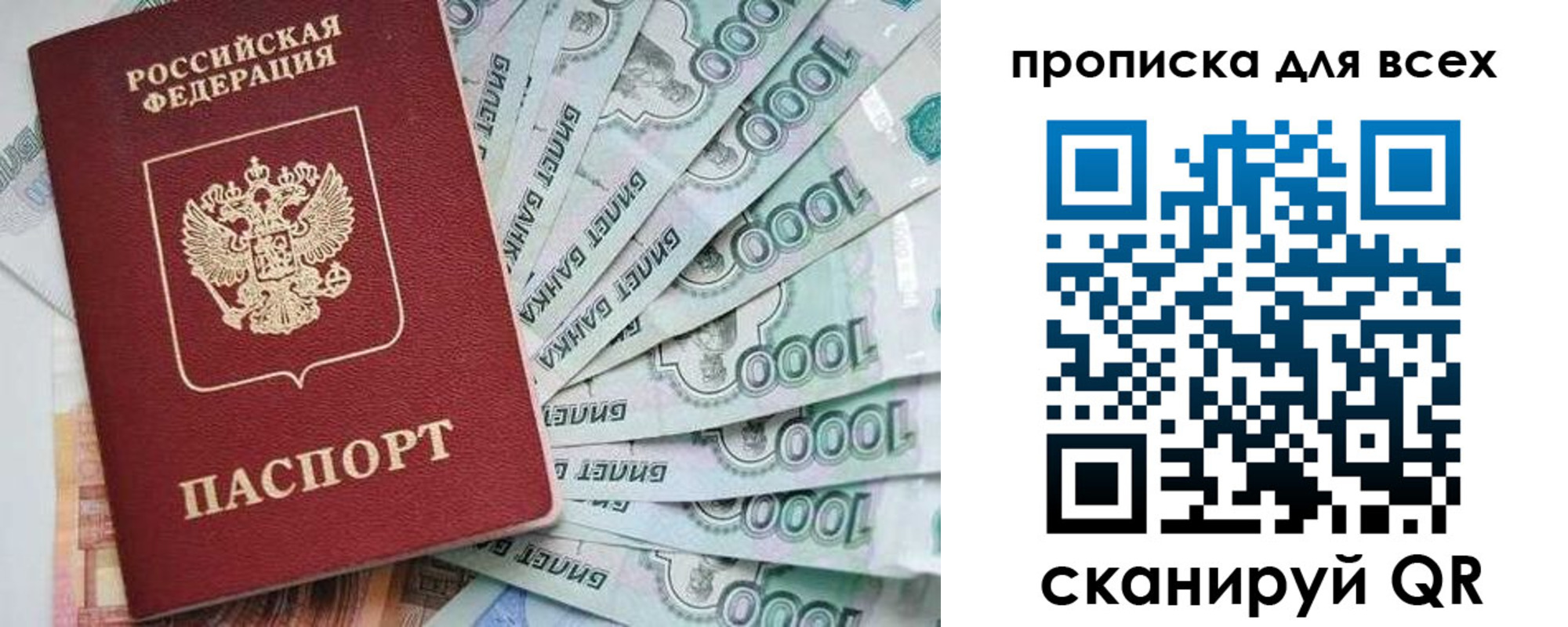 прописка гарантия в Нововоронеже